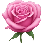 pink rose sticker