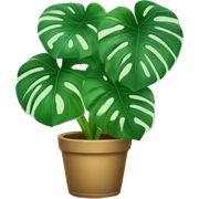 Happy monstera plant sticker