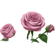 Shakespeare Roses flowers, Shakespeare made of newspaper cuttings, roses flowers sticker