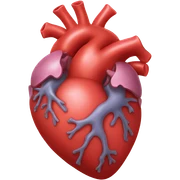 Anatomical heart sticker