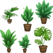 plants sticker