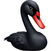 black swan sticker