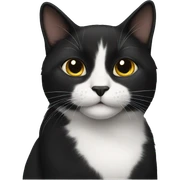 Black cat sticker