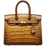 Crocodile leather bag birkin  sticker