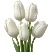 white tulip bouquet sticker