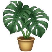 Monstera sticker