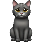 Сиамская кошка с голубыми глазами  sticker
