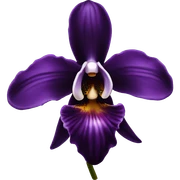 Black orchid  sticker