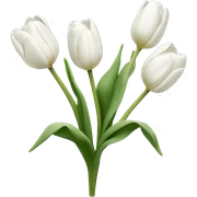 White tulips  sticker