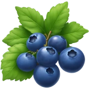 Blueberries  sticker