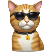 Cat with sunglasses sticker