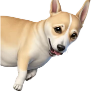 realistic dog portrait closeup sticker
