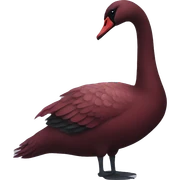 Dark red swan  sticker