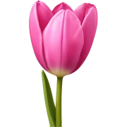 Pink tulipan sticker