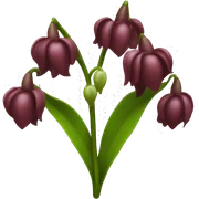 burgundy lily of the valley sticker