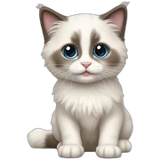 Ragdoll kitten sticker