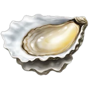 oyster sticker