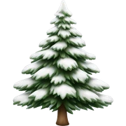  actual white fir christmas tree isolated.  sticker