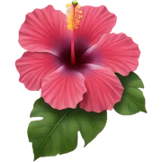 hibiscus  sticker