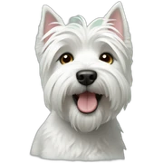 Westie  sticker