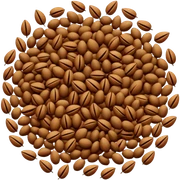 Seeds sticker