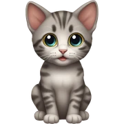 Baby cat sticker