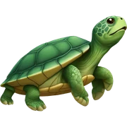turtle    sticker