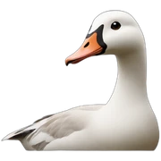 Goose sticker