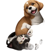 cats and dogs in box sticker