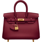 Wine Red Birkin bag  sticker