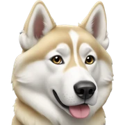 Blonde husky  sticker