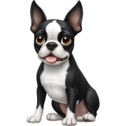 Boston terrier sticker