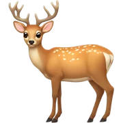Deer sticker