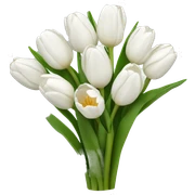 white tulip bouquet  sticker
