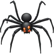 Spider sticker