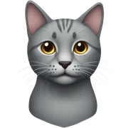 grey cat sticker