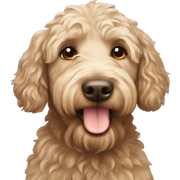 Labradoodle sticker