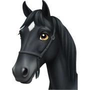 Black horse sticker