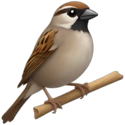 sparrow sticker