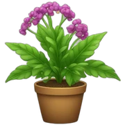plant sticker