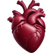 Burgundy anatomical heart  sticker