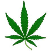 cannabis sticker