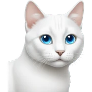 white cat with blue eyes sticker