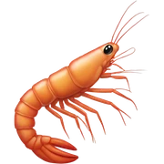 Shrimp sticker