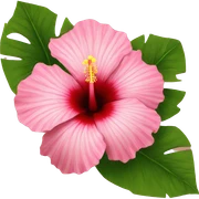 hibiscus sticker