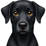 Black dog sticker