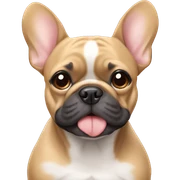 frenchie sticker