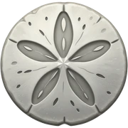Sand dollar sticker