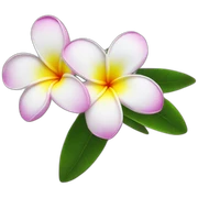 Plumeria sticker