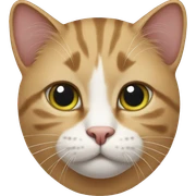 cat sticker